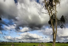 沙特队主帅：对阵中国队，我们必须做好准备.