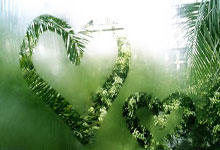 半场战报：成都蓉城B队-广州蒲公英，顾嘉逸建功，杨悠仙破门.