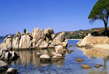 上升2位！国足世界排名升至第90位央视体育微博.